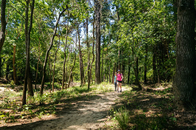 The Woodlands, Texas